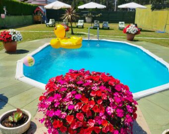 Espacio Ajardinado Con Piscina Para Disfrutar En Familia O Pareja