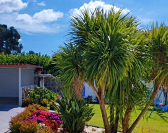 Jardín Exterior Con Zona De Aparcamiento En Casa Mariano – Sanxenxo